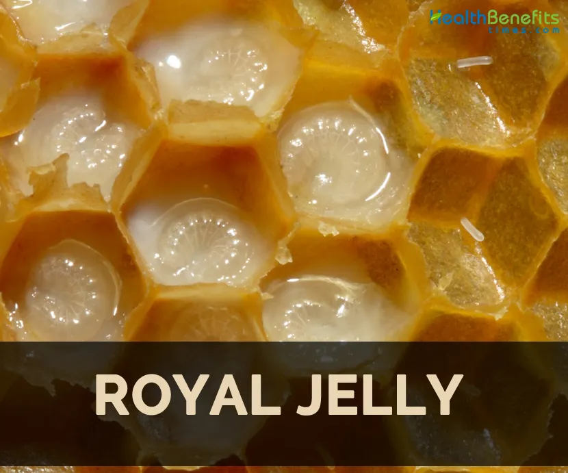 12 Potential Health Benefits of Royal Jelly