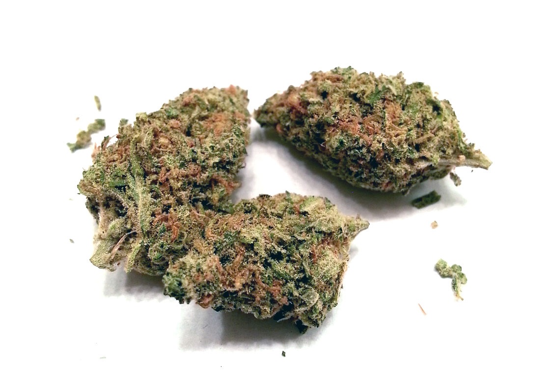 Key Lime Cookies Marijuana Strain